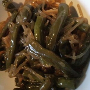 お弁当に！糸こんにゃくとインゲンの醤油炒め